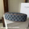 AAA+ Celine Ava Bag IN Triomphe Canvas and calfskin Replica | 1:1 Copy with In-Hand Pics