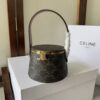 AAA+ CELINE NINA MINAUDIERE in LAMBSKIN WITH TRIOMPHE CANVAS PRINT AND CALFSKIN Replica | 1:1 Copy with In-Hand Pics