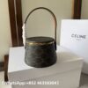 AAA+ CELINE NINA MINAUDIERE in LAMBSKIN WITH TRIOMPHE CANVAS PRINT AND CALFSKIN Replica | 1:1 Copy with In-Hand Pics