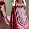 TOM FORD Bianca Hobo Bag Replica Bags