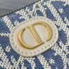 AAA+ Dior 30 Montaigne Wanderlust Mini Bag Dior Oblique Jacquard and Smooth Calfskin Replica | 1:1 Copy with In-Hand Pics